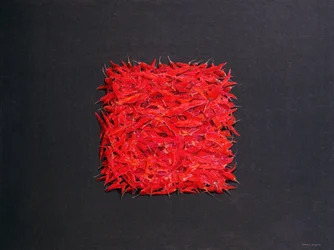 Chillies